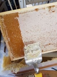 Honigwabe, die von Hand entdeckelt wird